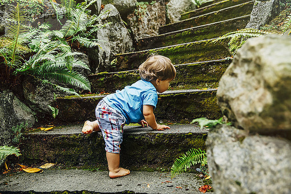 Gemischte Rasse Baby Junge klettern Treppe