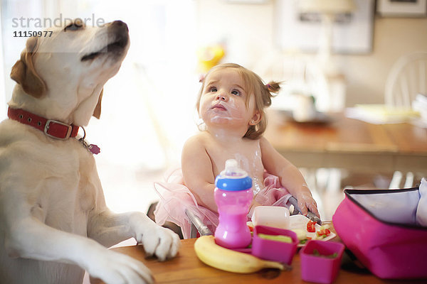 Kaukasisches Mädchen und Hund essen am Tisch