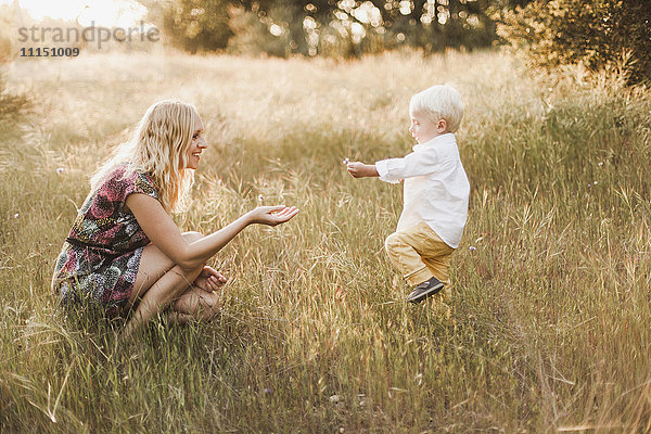 Mutter und Sohn spielen auf einem Feld