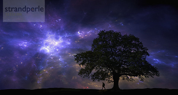 Silhouette von Mann und Baum unter Nachthimmel