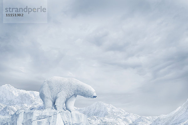 Eisbär auf Gletscher stehend