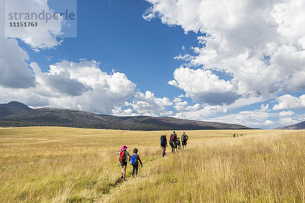 Kaukasische Kinder  die auf einem grasbewachsenen Feld in einer abgelegenen Landschaft spazieren gehen