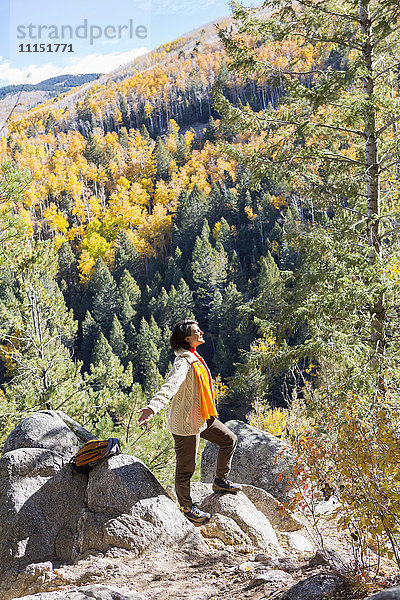 Gemischtrassige Frau bewundert malerische Aussicht im Wald