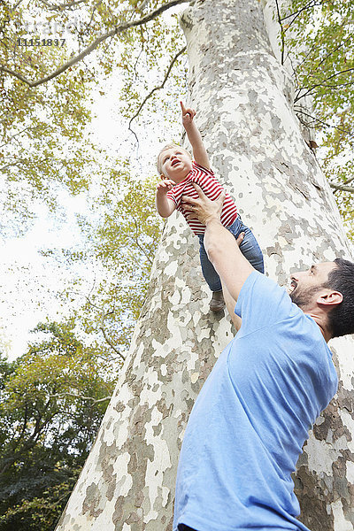 Kaukasischer Vater hebt seinen kleinen Sohn unter einen Baum