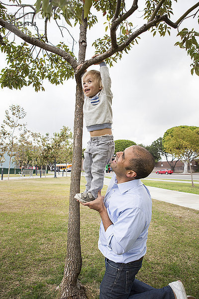 Hispanischer Vater und Sohn spielen auf einem Baum im Park