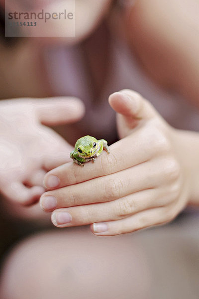Kaukasisches Mädchen spielt mit Frosch
