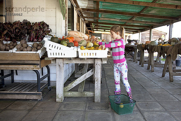 Gemischtrassiges Mädchen beim Einkaufen auf dem Bauernmarkt
