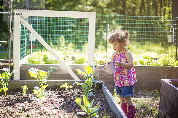 Mädchen bewässert Pflanzen im Garten