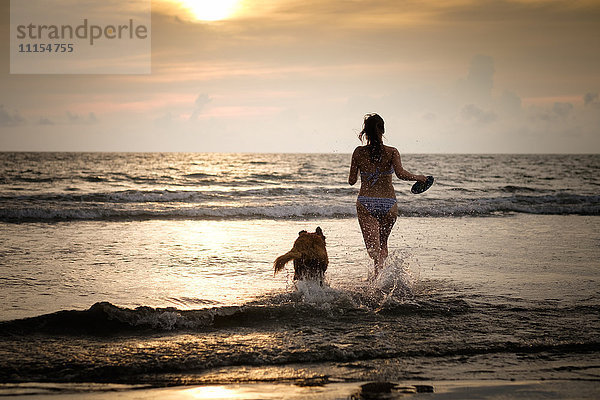 Mexiko  Nayarit  Junge Frau im Bikini spielt Frisbee mit ihrem Golden Retriever Hund am Strand  läuft in den Ozean