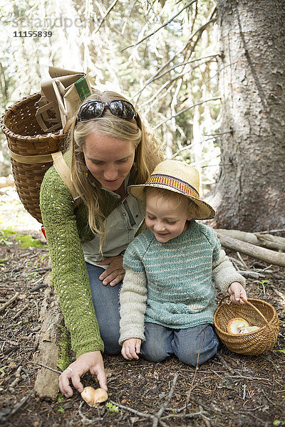 Mutter und Sohn auf Pilzsuche im Wald