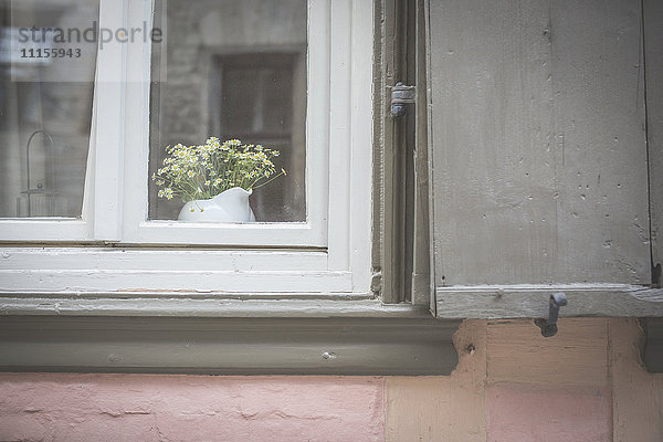 Blumenkrug hinter der Fensterscheibe des Wohnhauses