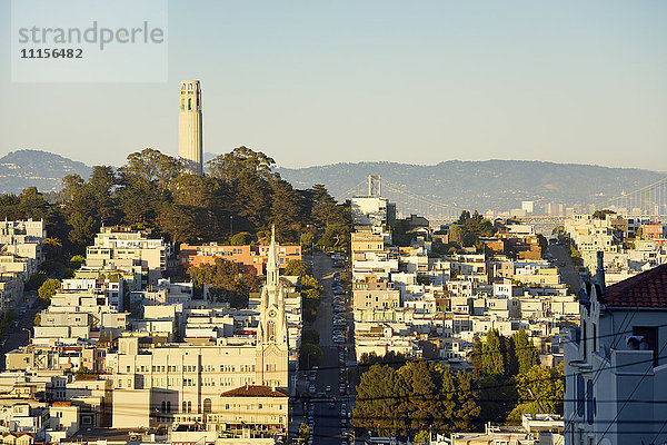 USA  Kalifornien  San Francisco  Blick vom Russian Hill auf den Telegraph Hill mit Coit Tower