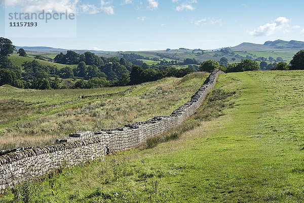 Großbritannien  Northumberland  Haltwhistle  Hadrians Mauer