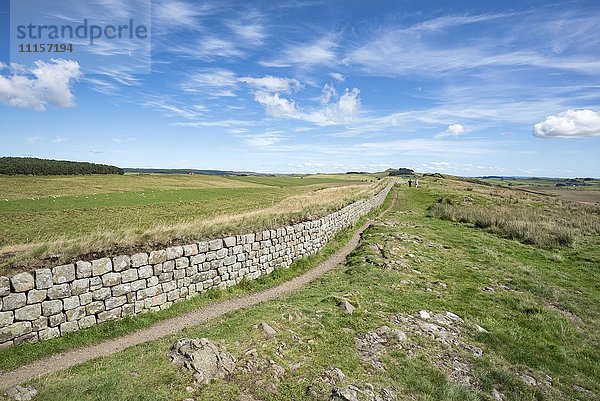 UK  Northumberland  Haltwhistle  Wanderweg neben der Hadriansmauer