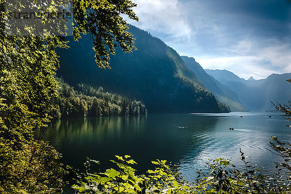 Deutschland  Bayern  Königssee