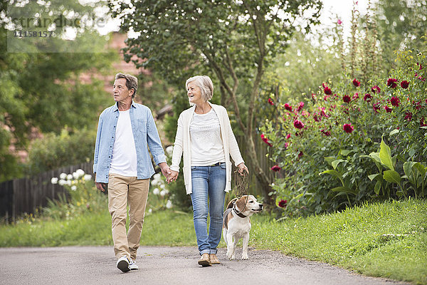 Seniorenpaar auf einem Spaziergang mit Hund in der Natur