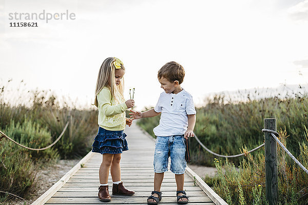 Kleiner Junge geschenktes kleines Mädchen Blumen auf Strandpromenade in der Natur