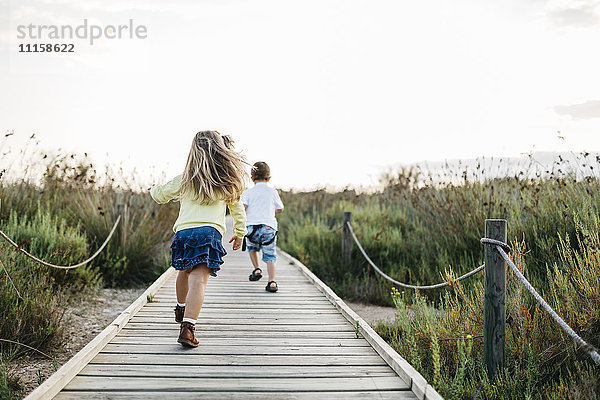 Rückansicht von zwei kleinen Kindern  die zusammen auf einer Strandpromenade in der Natur spielen.