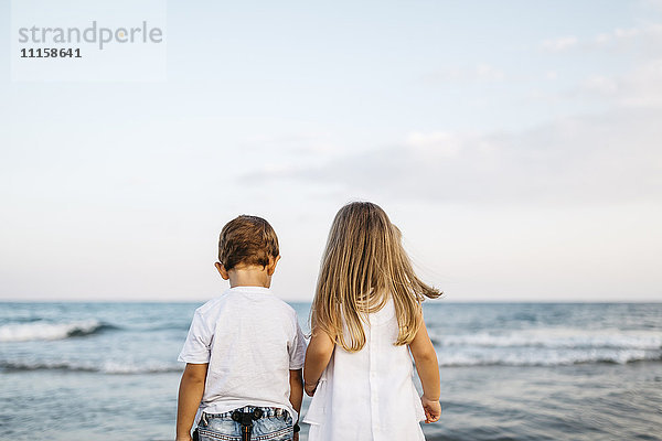 Rückansicht des kleinen Jungen und Mädchens  die Seite an Seite vor dem Meer stehen.