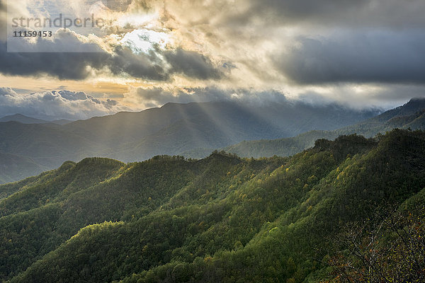 Italien  Emilia-Romagna  Nationalpark Foreste Casentinesi