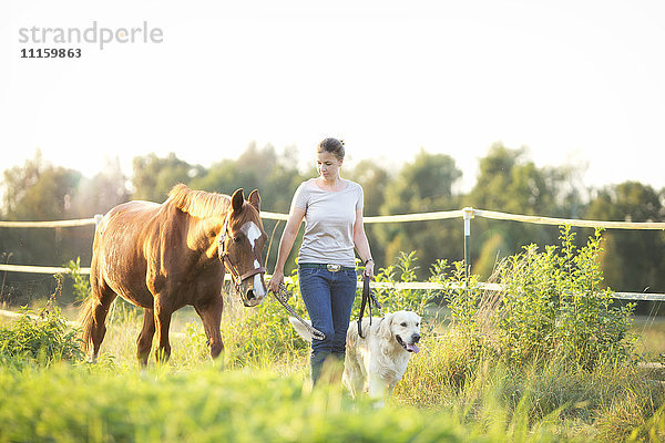 Junge Frau beim Spaziergang mit Pferd und Hund