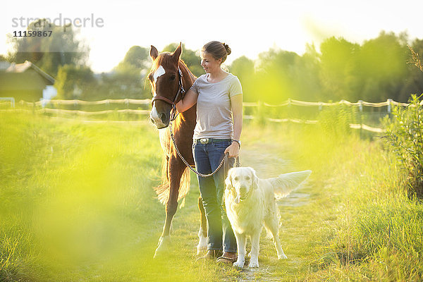 Junge Frau mit Pferd und Hund