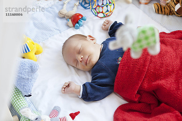 Baby schläft im Laufstall mit Spielzeug