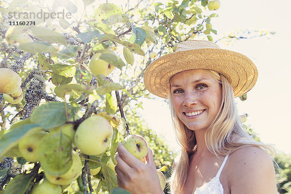 Junge Frau mit Strohhut pflückt Äpfel vom Baum