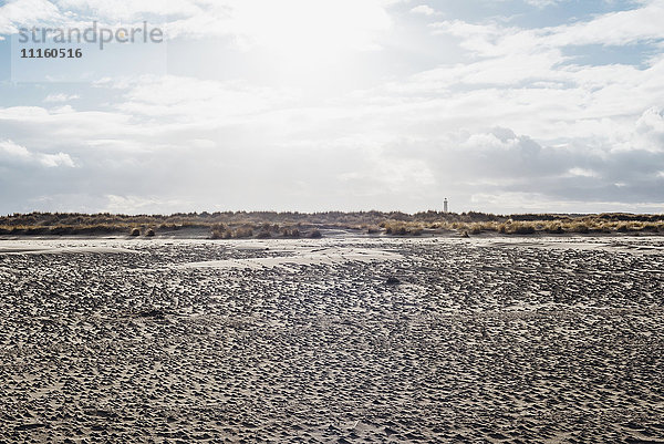 Dänemark  Skagen  Strand mit Leuchtturm im Hintergrund