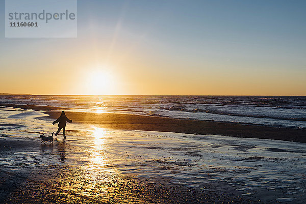 Dänemark  Nordjütland  Junge mit Hund am Strand bei Sonnenuntergang