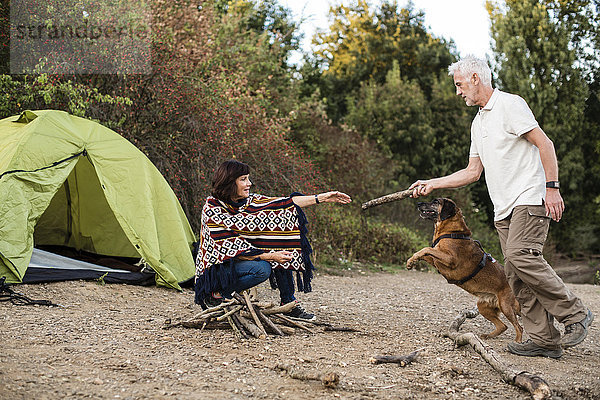 Seniorenpaar mit Hund im Zelt