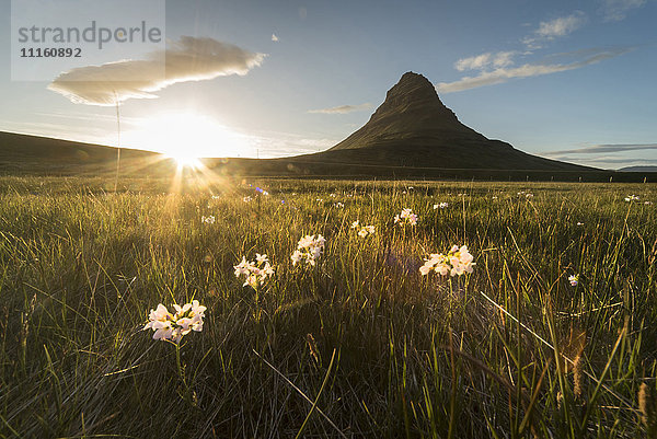 Island  Snæfellsnes  Berg und Wiese bei Sonnenuntergang