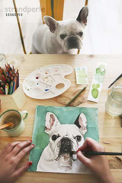 Die Hand der Künstlerin malt ein Aquarell ihrer französischen Bulldogge.