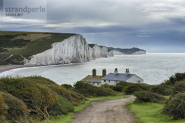 UK  Sussex  Seaford  Seven Sisters Country Park  Seaford Head  Blick auf Seven Sisters Chalk Cliffs
