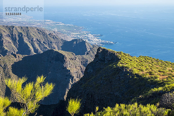 Spanien  Teneriffa  Teno-Gebirge bei Masca