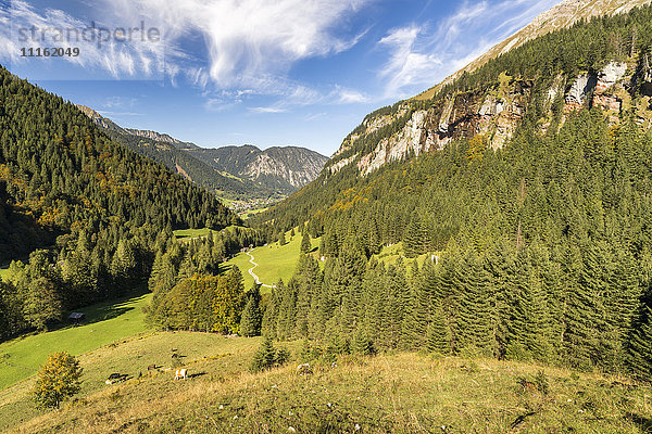 Österreich  Vorarlberg  Brandner Tal