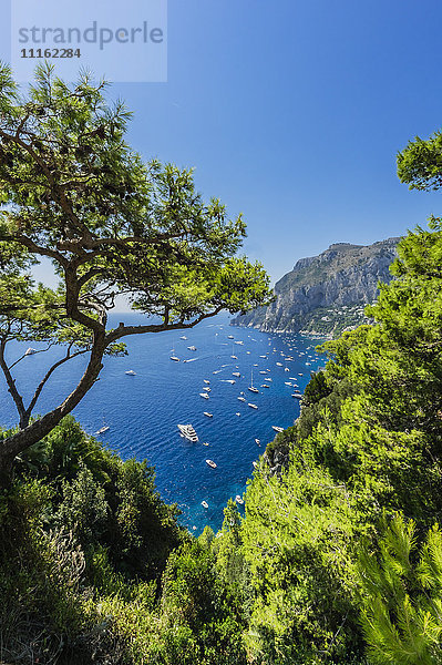 Italien  Capri  Blick auf die Bucht von Capri