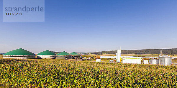 Deutschland  Riedlingen  Kreuz- und Biogasanlage