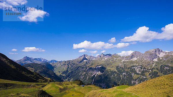 Deutschland  Bayern  Allgäuer Alpen mit Schafalpenköpfen