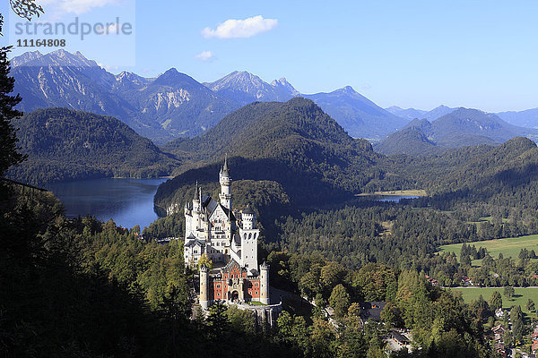 Schloss Neuschwanstein  Bayern  Deutschland  Europa