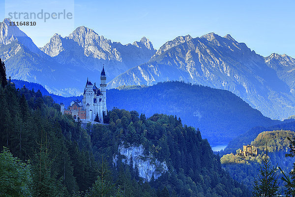 Schloss Neuschwanstein  Bayern  Deutschland  Europa