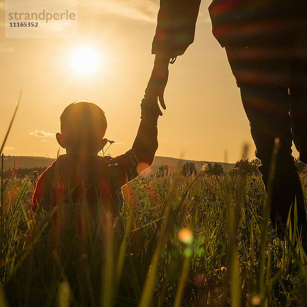 Frau und Sohn halten sich in einem Feld bei Sonnenuntergang an den Händen