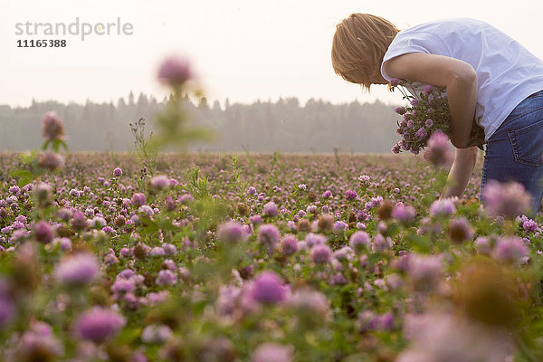 Kaukasische Frau pflückt Blumen auf einem Feld