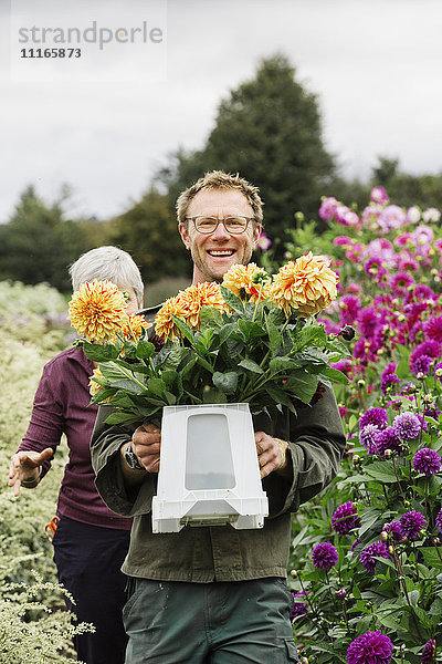 Zwei Personen arbeiten in einer Bio-Blumengärtnerei  schneiden Blumen für Blumenarrangements und kommerzielle Aufträge.