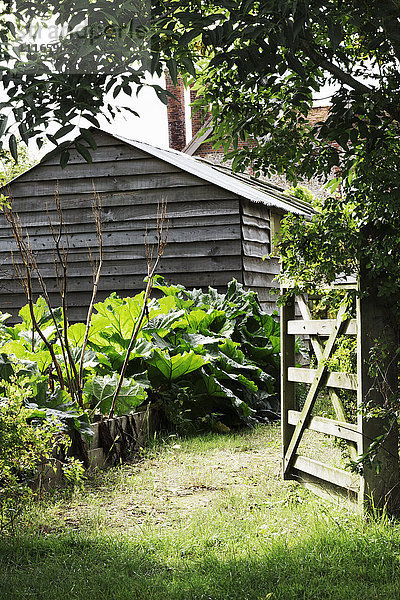 Ein offenes Tor und eine Scheune in einem ausgewachsenen Garten mit Bäumen und Sträuchern.