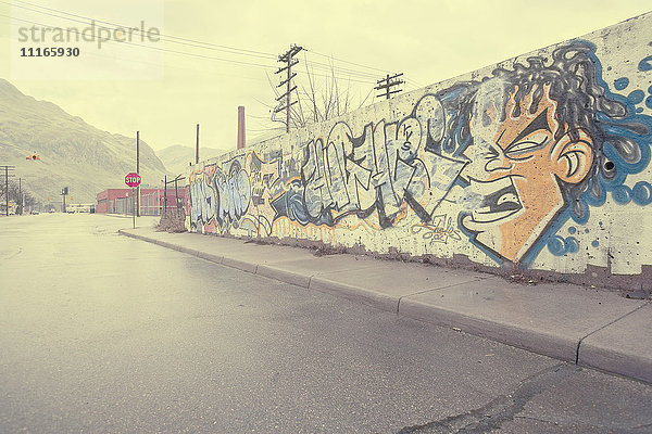 Graffiti-Wand in der Nähe der Wet Street  Detroit  Michigan  Vereinigte Staaten