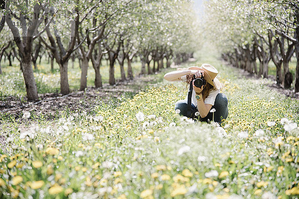 Eine Frau fotografiert in einem Obstgarten zwischen wilden Blumen.