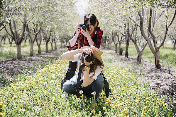 Zwei Frauen mit Kameras  die in einem Obstgarten fotografieren.