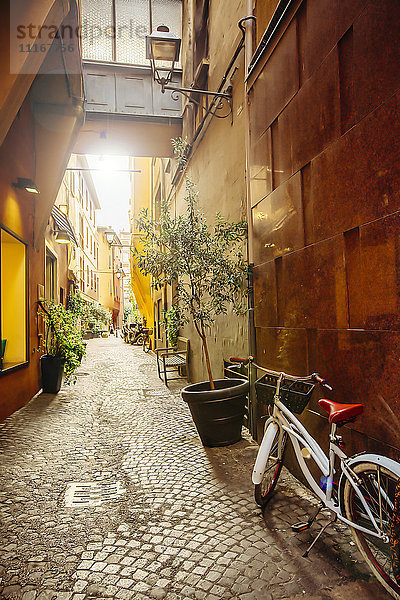 Fahrrad in einer kopfsteingepflasterten Gasse  Bologna  Emilia-Romagna  Italien