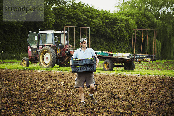 Ein Mann trägt einen Behälter mit Setzlingen über ein Feld mit einem Traktor im Hintergrund.